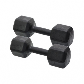 Dumbell 18kg Sextavado Pintado | Base Representações
