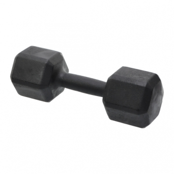 Dumbell 24kg Sextavado Pintado | Base Representações