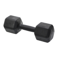 Dumbell 22kg Sextavado Pintado | Base Representações