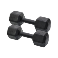 Dumbell 22kg Sextavado Pintado | Base Representações