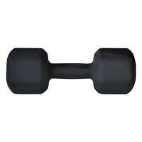 Dumbell Sextavado 12,5kg Texturizado  | Base Representações