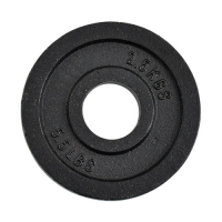 Anilha Fracionada 1,25kg Pintada Furo 51mm | Base Representações